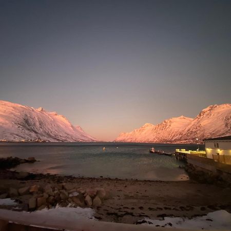 House Of Ellie Bed & Breakfast Ersfjordbotn Dış mekan fotoğraf