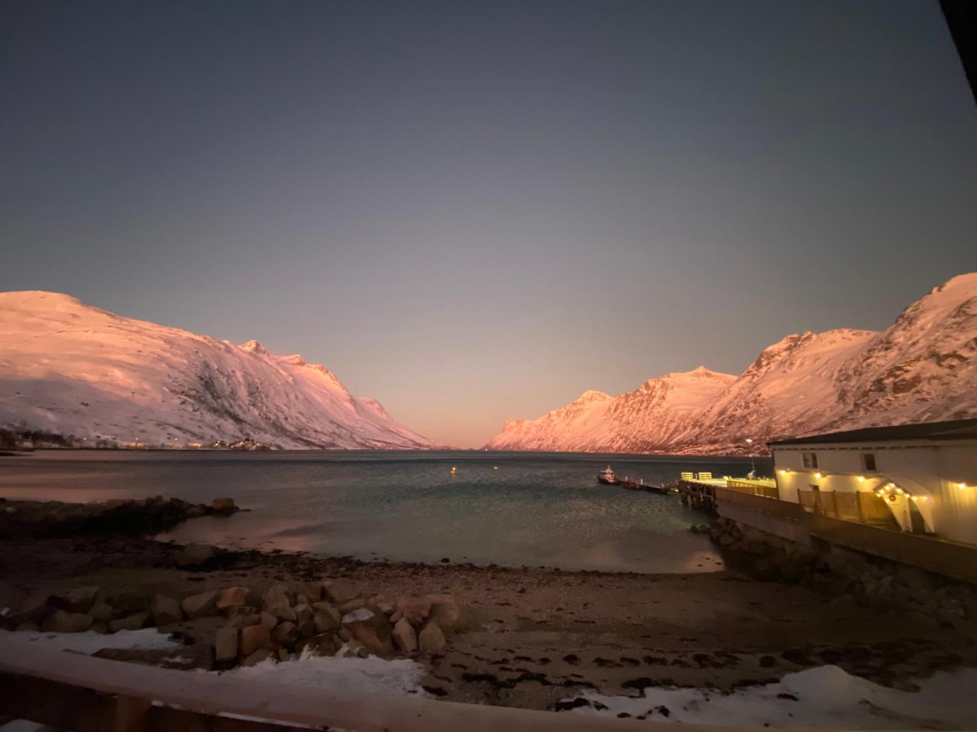 House Of Ellie Bed & Breakfast Ersfjordbotn Dış mekan fotoğraf
